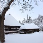 Muzeul Satului