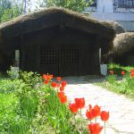 Muzeul Satului - bordei