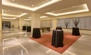 Radisson Blu Hotel - Prefunction Area