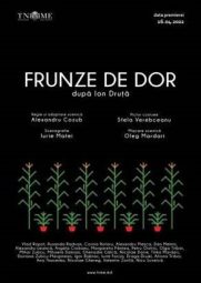 FRUNZE DE DOR