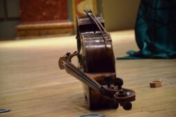 Welcome Concert in honour of the newly arrived Ambassadors (March 2021)