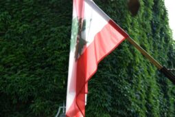 Farewell for the Montenegrin Ambassador