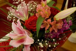 Farewell for the Montenegrin Ambassador