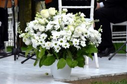 Welcome Concert for the newly arrived Ambassadors of Algeria and Turkiye (15 May 2023)