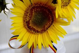 Farewell Concert in honor of Paul McGarry, Ingrid Kressel, Marjut Akola, Philippe Benoit and Lea Stancic