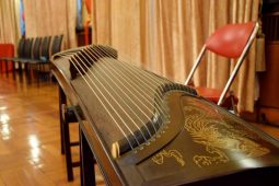Welcome Concert to the newly arrived Ambassadors of Argentine and Brasil