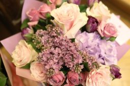 Welcome Concert to the newly arrived Ambassadors of Philippines and Bangladesh